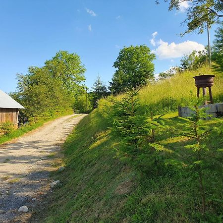 Cabana Valea Lui Mas Robaia Zewnętrze zdjęcie