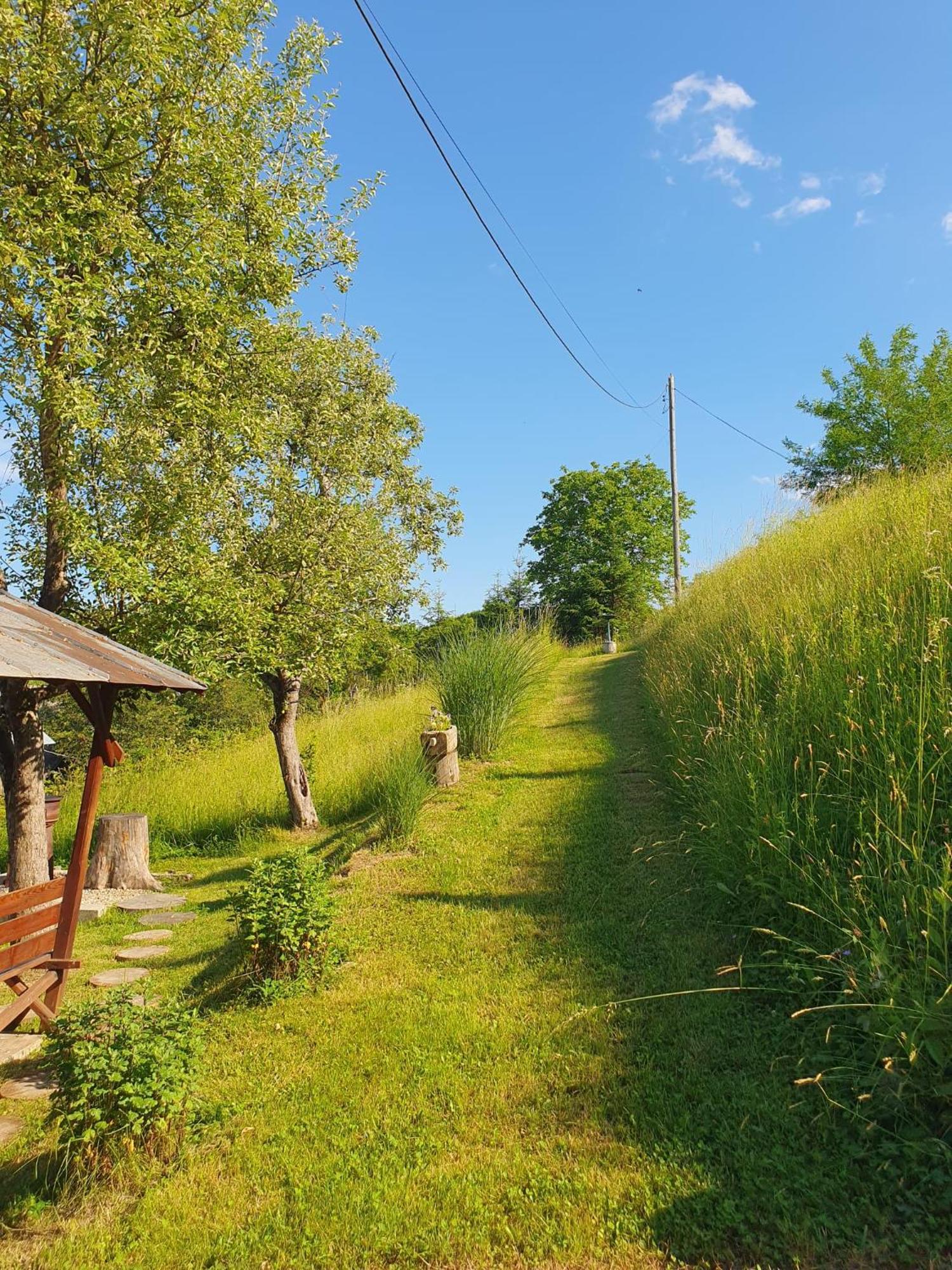Cabana Valea Lui Mas Robaia Zewnętrze zdjęcie