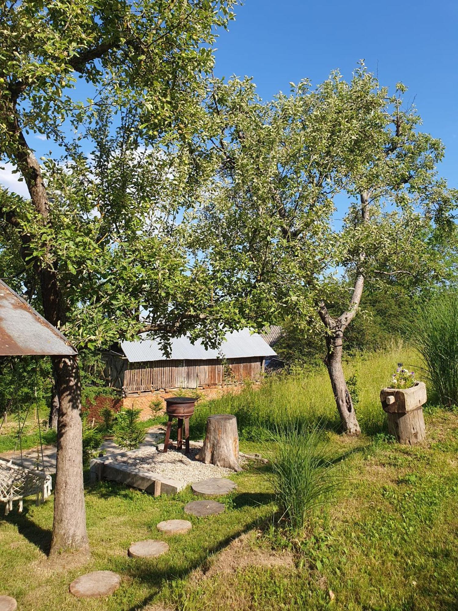 Cabana Valea Lui Mas Robaia Zewnętrze zdjęcie