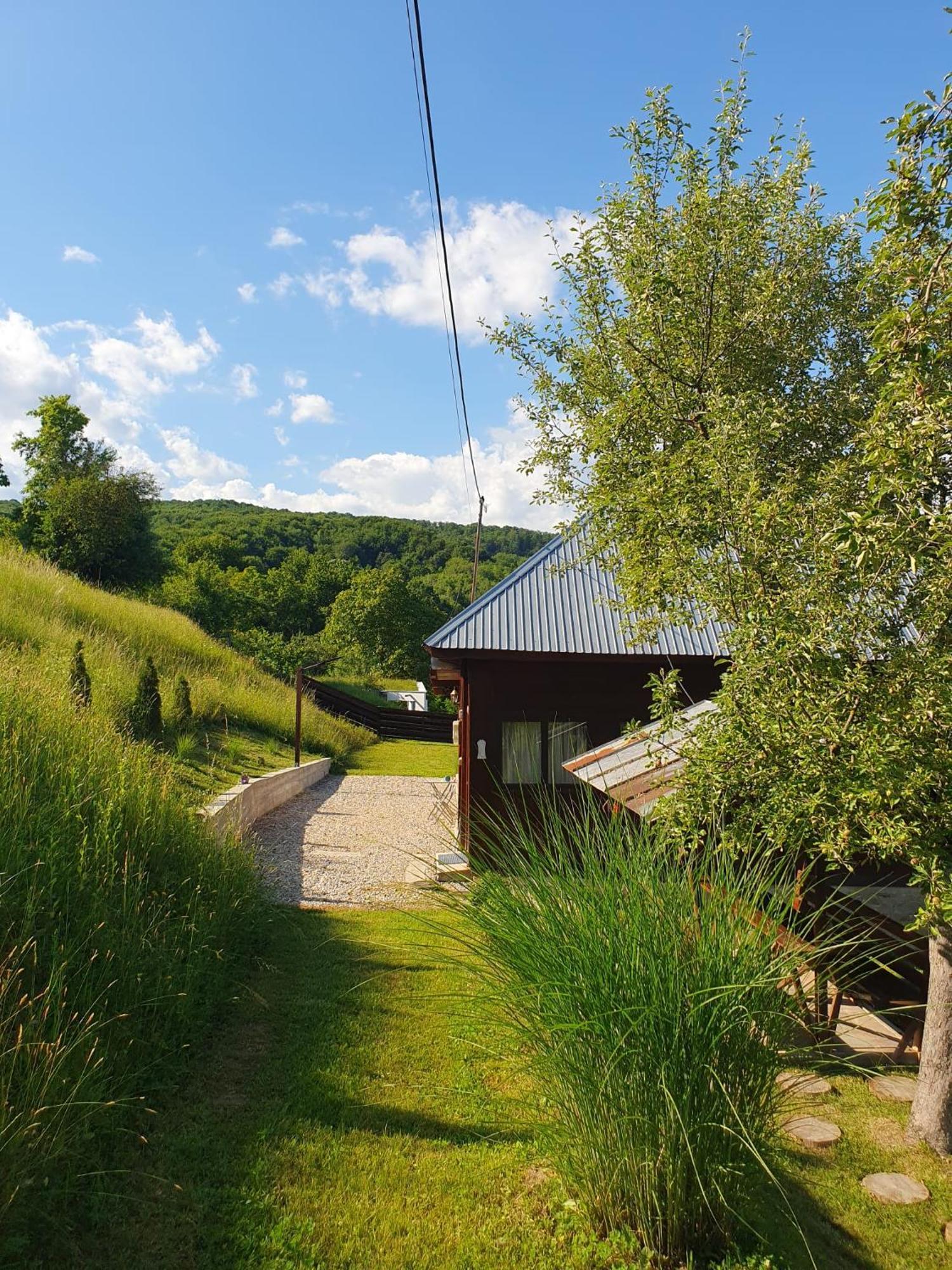 Cabana Valea Lui Mas Robaia Zewnętrze zdjęcie