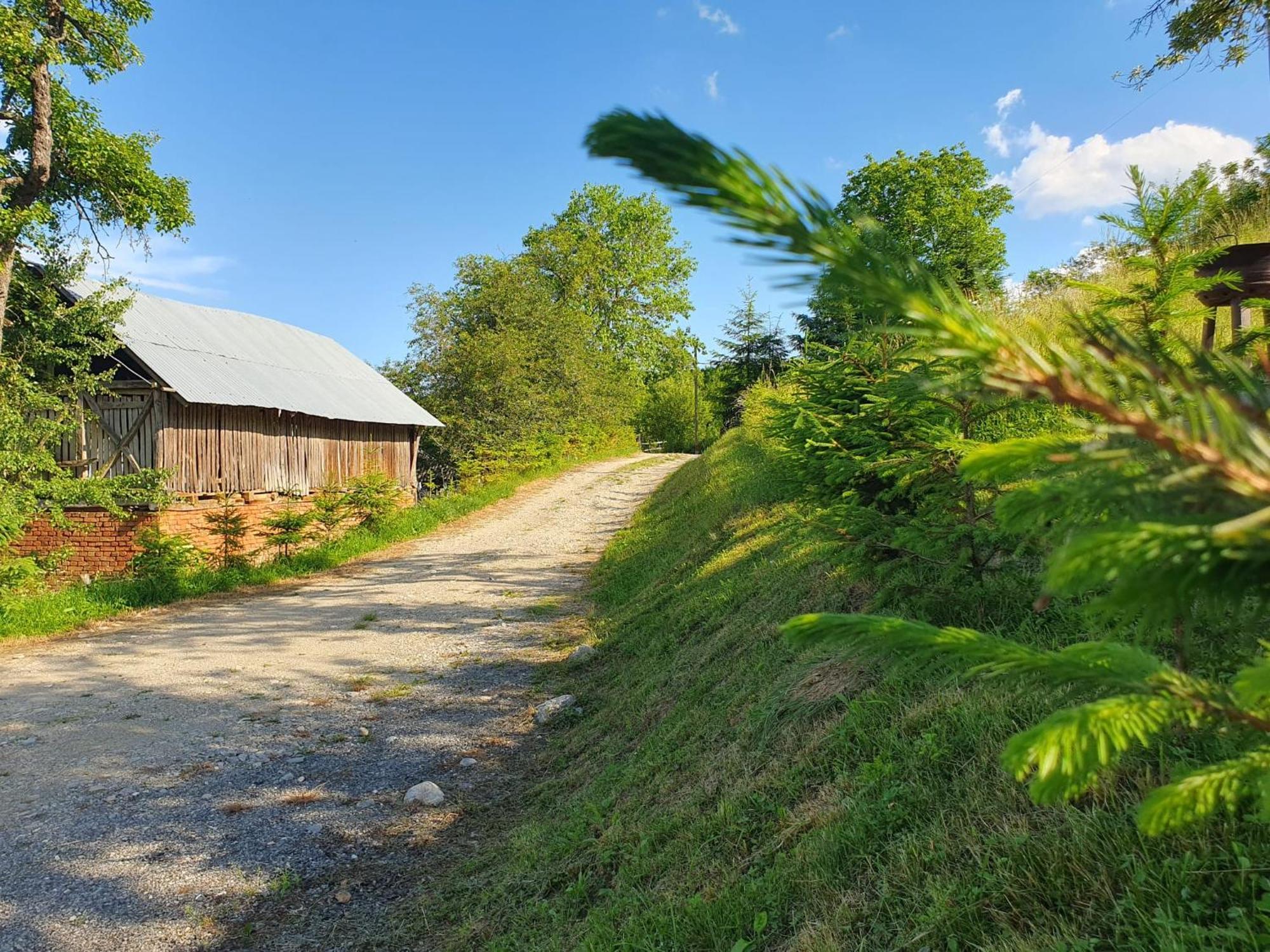 Cabana Valea Lui Mas Robaia Zewnętrze zdjęcie