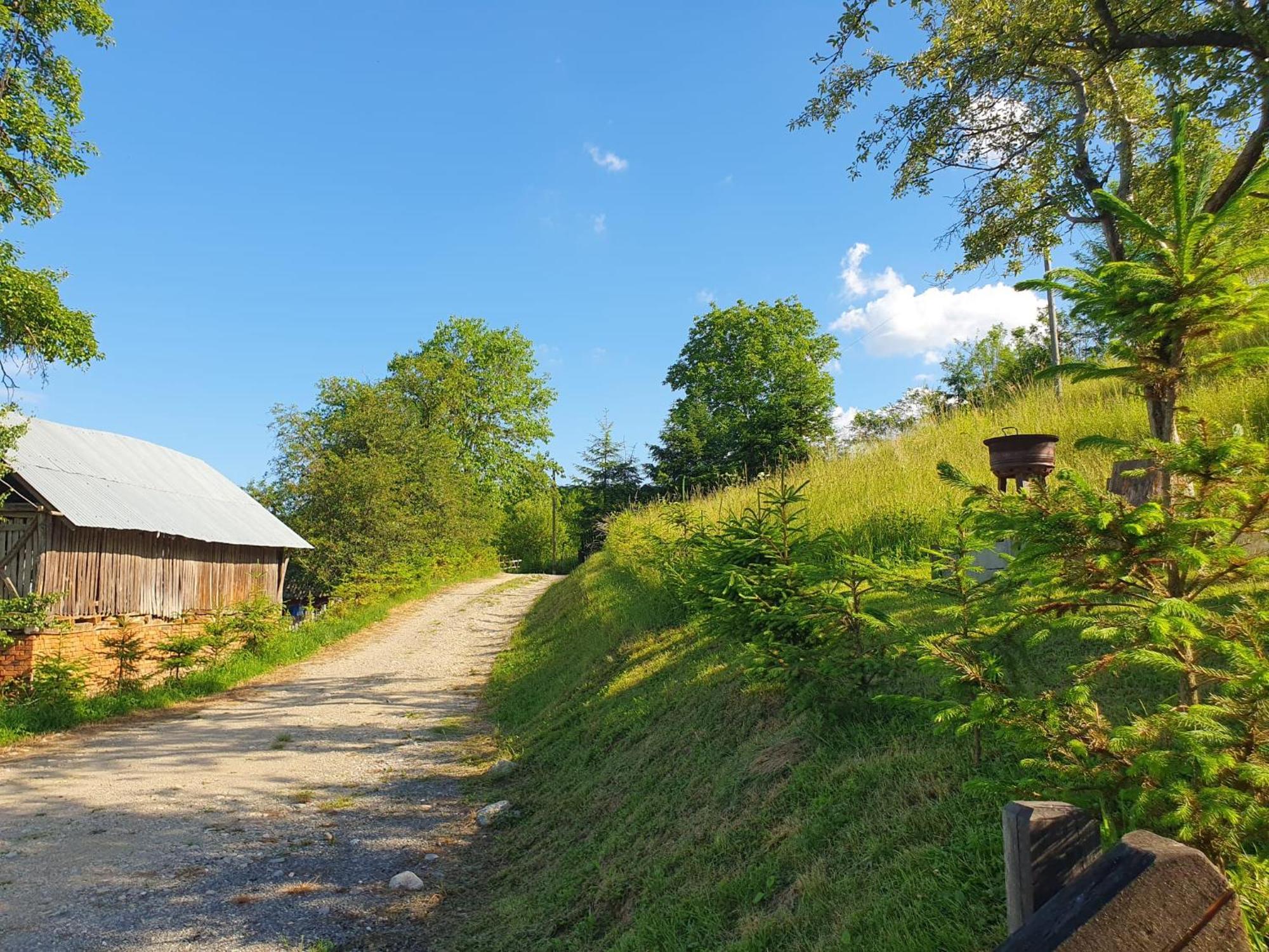 Cabana Valea Lui Mas Robaia Zewnętrze zdjęcie