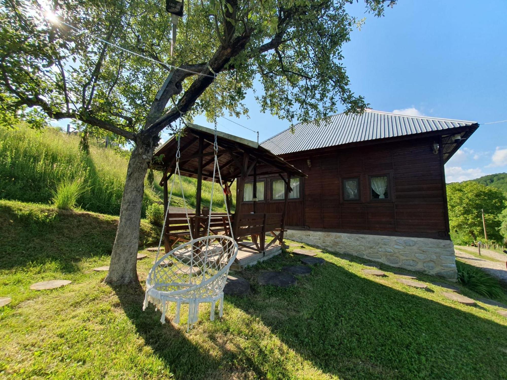 Cabana Valea Lui Mas Robaia Zewnętrze zdjęcie