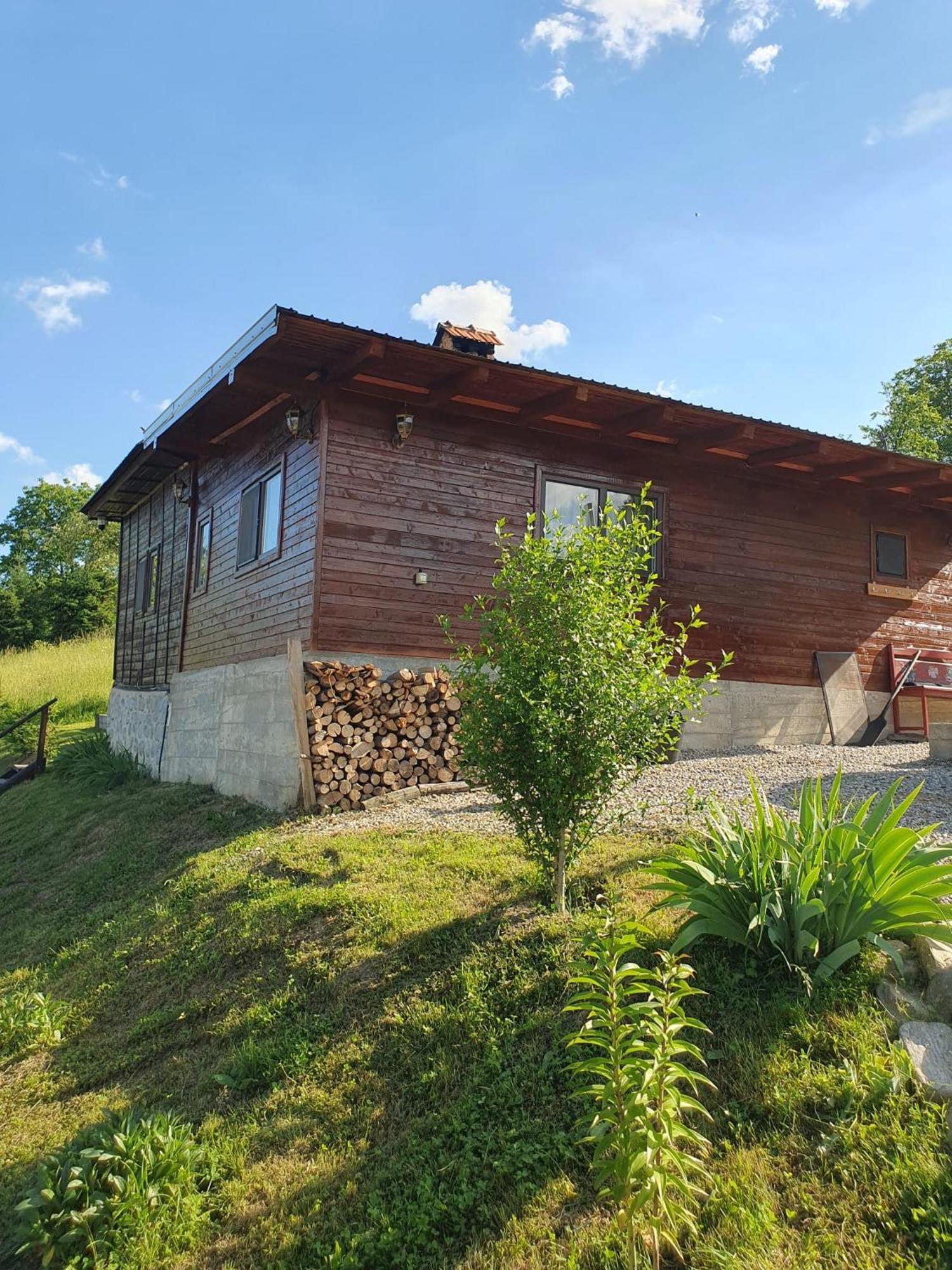 Cabana Valea Lui Mas Robaia Zewnętrze zdjęcie