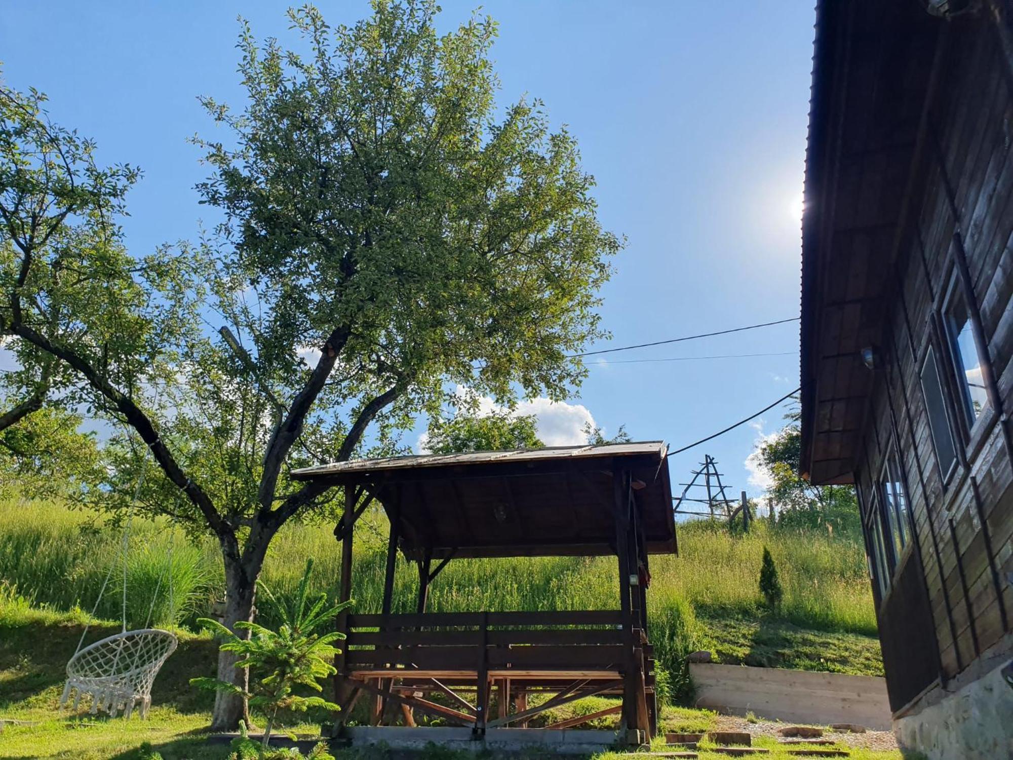 Cabana Valea Lui Mas Robaia Zewnętrze zdjęcie